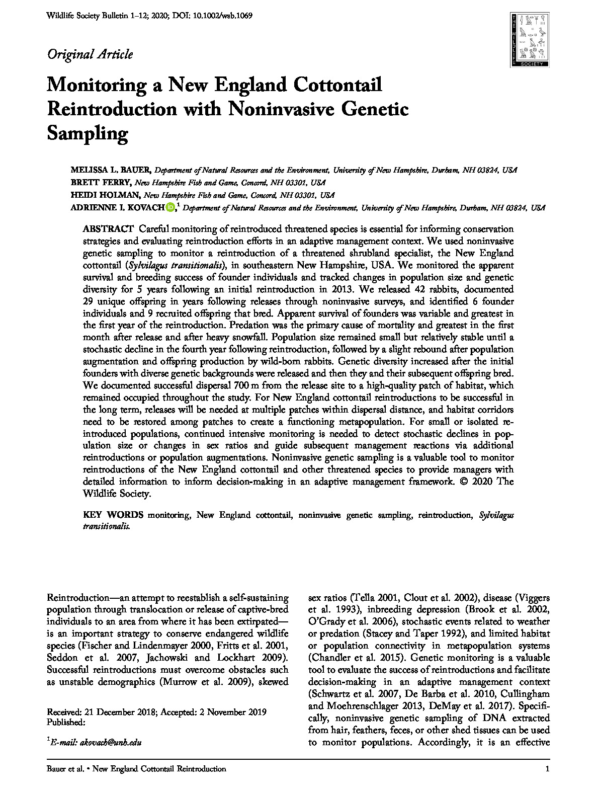 Monitoring a New England Cottontail Reintroduction with Noninvasive Genetic Sampling