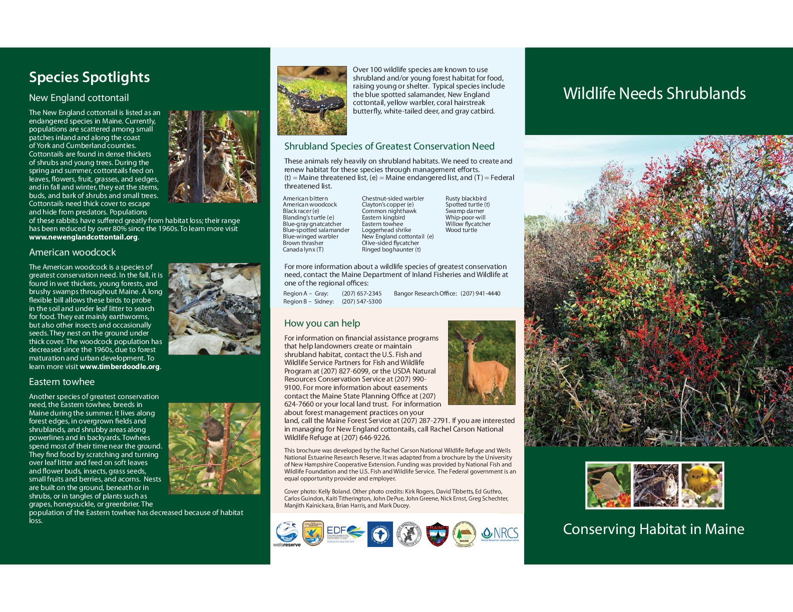 Wildlife Needs Shrubland: Conserving Habitat in Maine